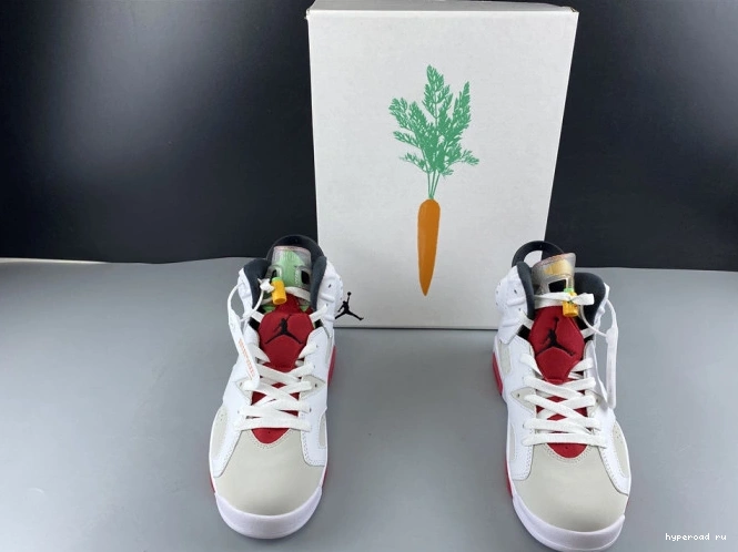 Air 6 CT8529-062 Jordan Hare 1027